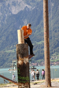 Brienzer Holzfällertage Brienzer Holzfällertage