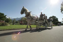 Interlaken - Carriage rides