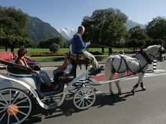 Interlaken - Tellspiel Pauschale Interlaken - Tellspiel Pauschale