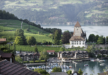 Spiez Castle