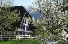 Ballenberg Pauschale Ballenberg Pauschale