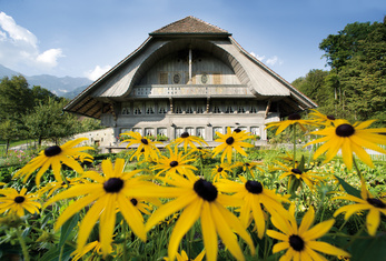 Freilichtmuseum Ballenberg