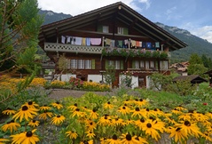 Ringgenberg - Goldswil - Niederried - Typical regional chalet villages at the shores of Lake Brienz