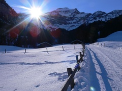 Saxeten - Winterwandern Saxeten - Winterwandern