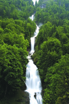 Brienz - Giessbachfälle Brienz - Giessbachfälle