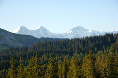 Aussicht Moorlandschaft