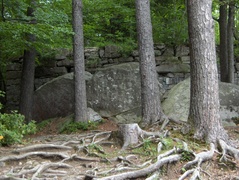 Ringgenberg - Ruine Schadenburg