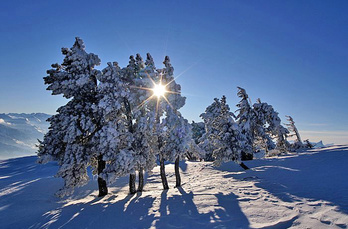 Beatenberg - Top view in pure nature