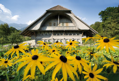 Open-air Museum Ballenberg
