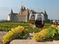 Château d'Aigle © J. Crespo