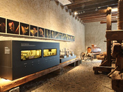 Musée de la Vigne et du Vin © J. Crespo