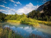 Étangs et marais dans le bois de Finges - Sierre, Leuk