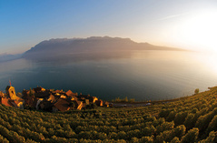 Montreux - Copyright Montreux Riviera Tourisme Montreux - Copyright Montreux Riviera Tourisme