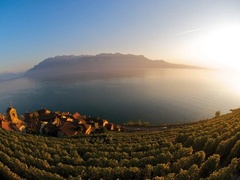Montreux - Copyright Montreux Riviera Tourisme Montreux - Copyright Montreux Riviera Tourisme