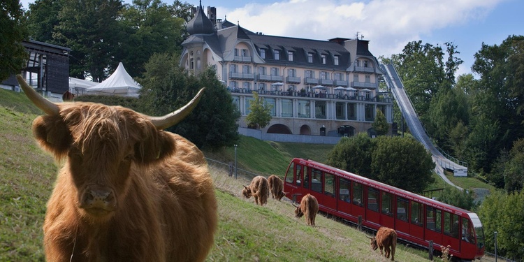 Gurten 