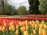 18.04.2012