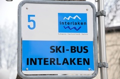 gratis Skibus Interlaken gratis Skibus Interlaken