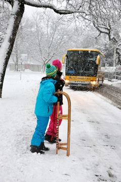 gratis Skibus Interlaken gratis Skibus Interlaken