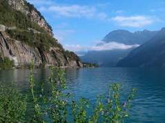 Blick auf den Urnersee zwischen Isleten und Seedorf