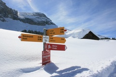 Excursion en raquettes à neige sur l'Axalp