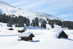 Schneeschuhtour Axalp - Schnitzlerweg Schneeschuhtour Axalp - Schnitzlerweg