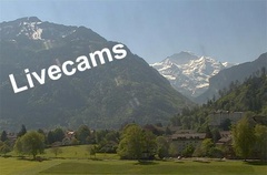 Livecams