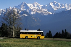 Transferts en bus