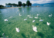Estavayer-le-Lac © Franck Auberson Estavayer-le-Lac © Franck Auberson