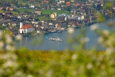 Beckenried
