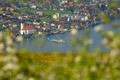 Beckenried