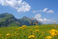 Sommer Giswil Mörlialp