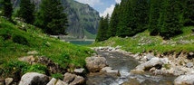 Bannalpsee Bach