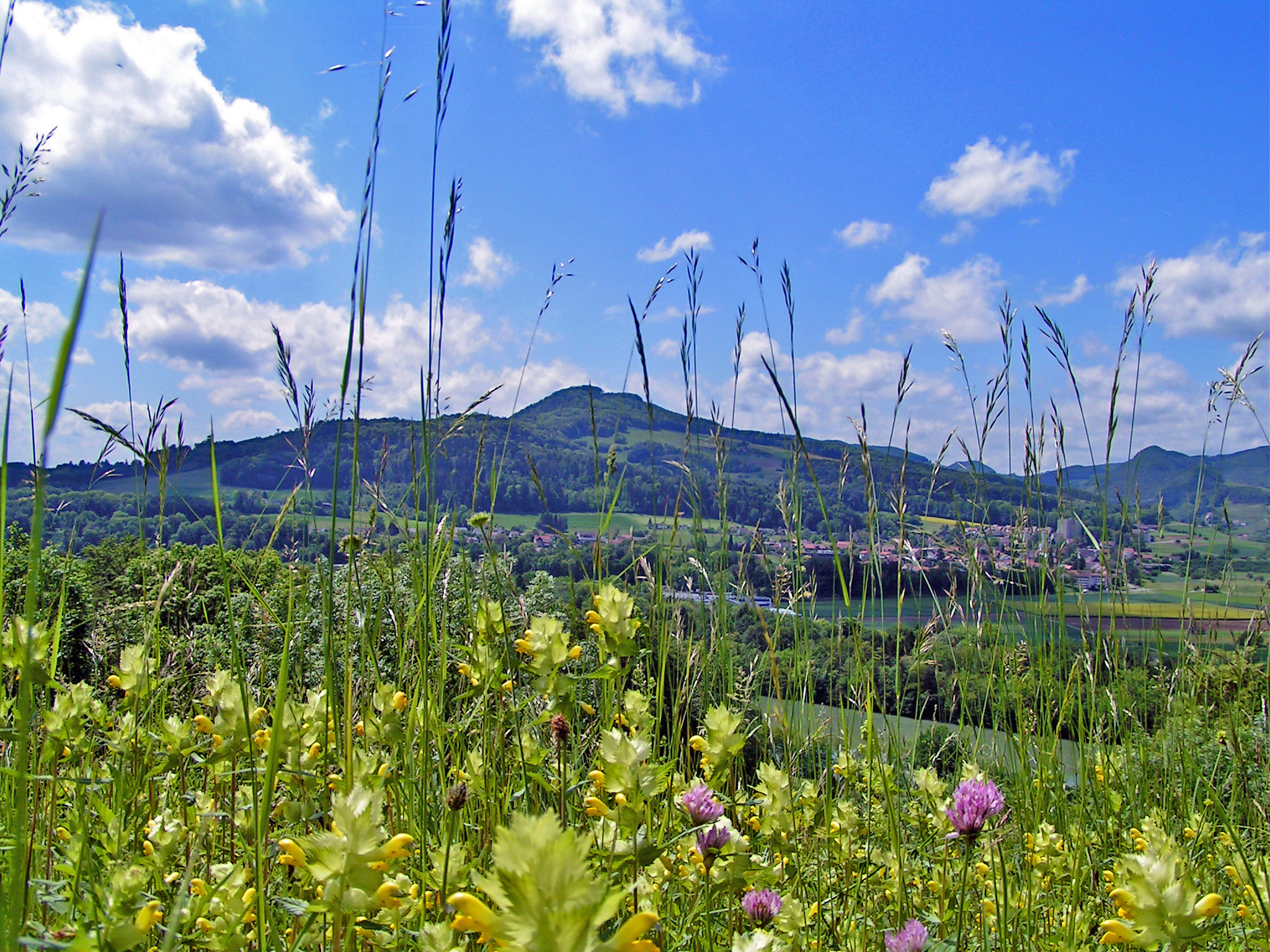 Frühling<br>im AARGAU