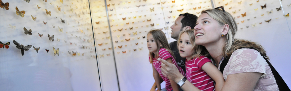 Familie im Landesmuseum