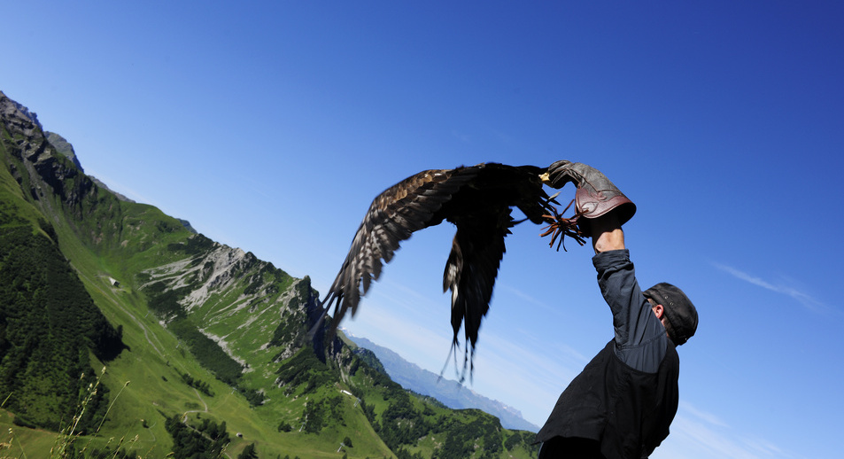 Eagle experience hike