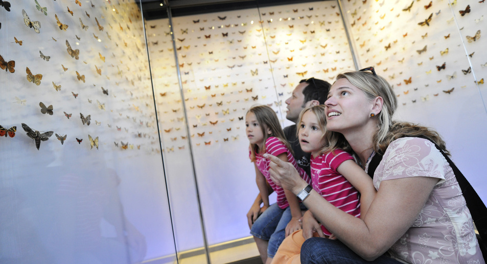 Family at Liechtenstein national museum