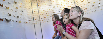 Familie im Landesmuseum Familie im Landesmuseum