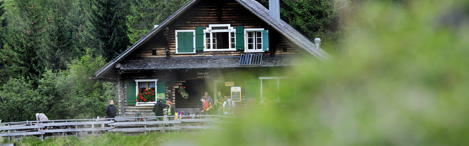Mountain hut Gafadura