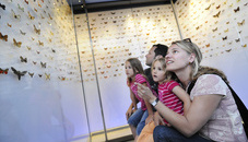 Landesmuseum