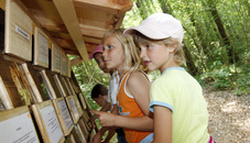 Der Waldparcours in Schaan Der Waldparcours in Schaan