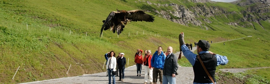 Eagle Hike Malbun
