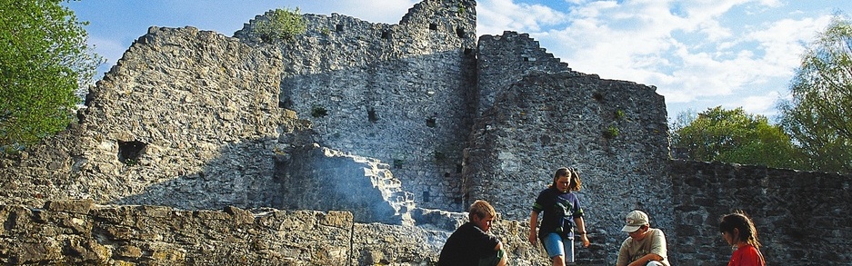 Burgruine Schellenberg