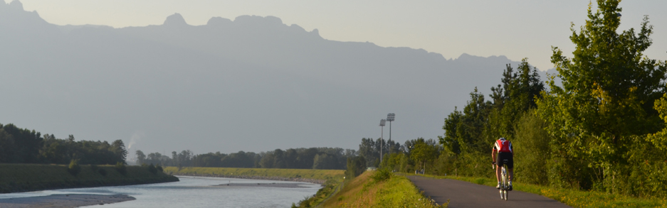 Radfahrer am Rheindamm