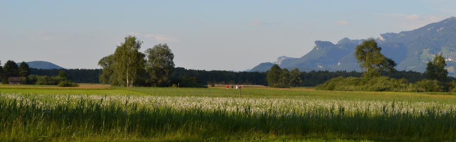 Wiesen im Ruggellerriet