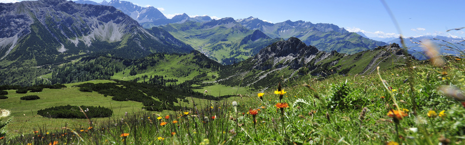Wandern Blumenpracht Malbun