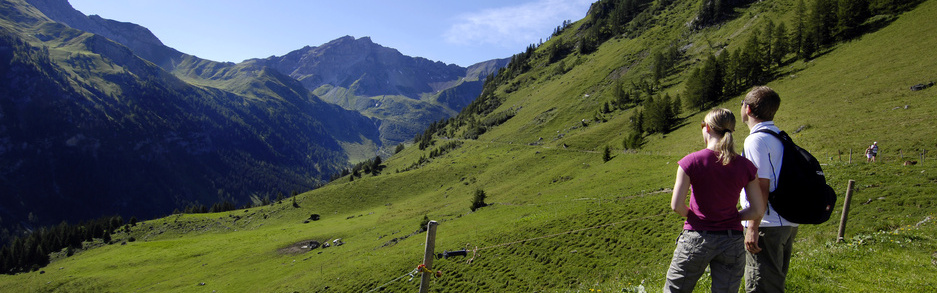 Rappenstein Wandern
