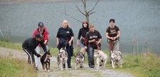 Trekking mit Huskys
