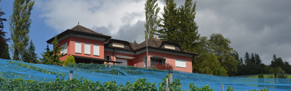 Weingut Castellum Eschen