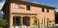 Cantina Harry Zech Weinbau Cantina Harry Zech Weinbau