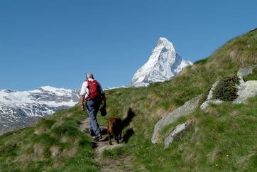 Hiker with dog in Zermatt